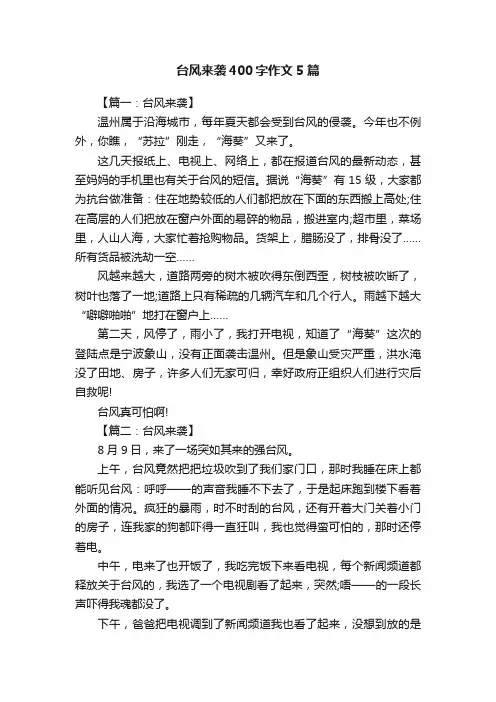 台风来袭400字作文5篇