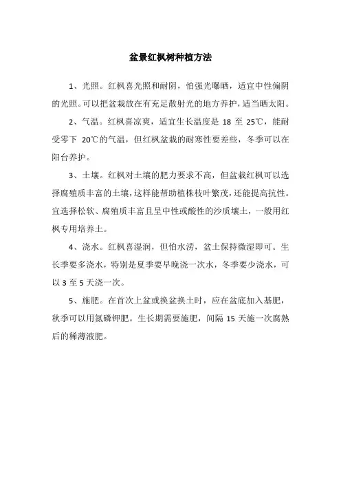 盆景红枫树种植方法
