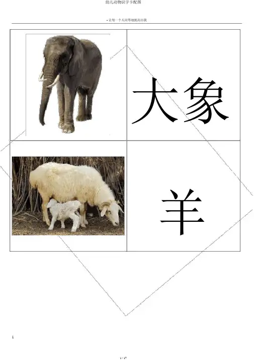幼儿动物识字卡配图