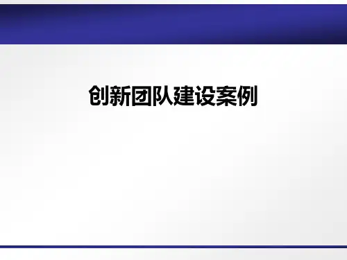 创新团队建设案例