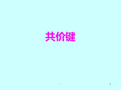 []高中化学-共价键PPT课件