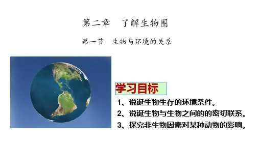 人教版生物七年级上册.1 生物与环境的关系 课件