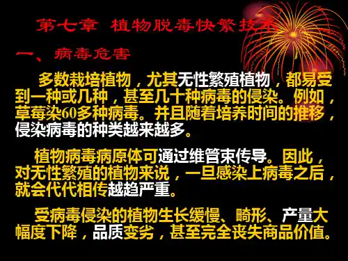 植物组织培养技术第七章 植物脱毒快繁技术