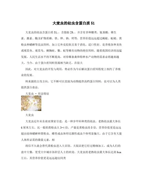大麦虫的幼虫含蛋白质51
