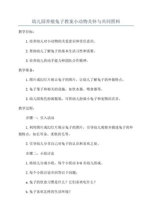 幼儿园养殖兔子教案小动物关怀与共同照料