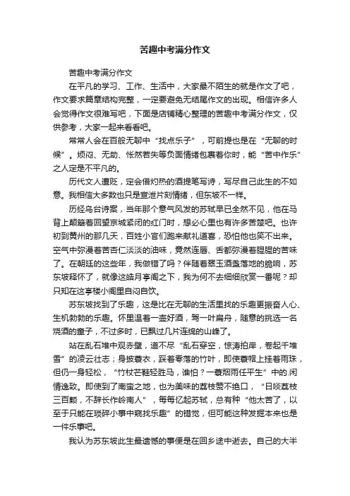 苦趣中考满分作文