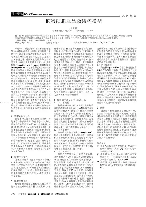 植物细胞亚显微结构模型