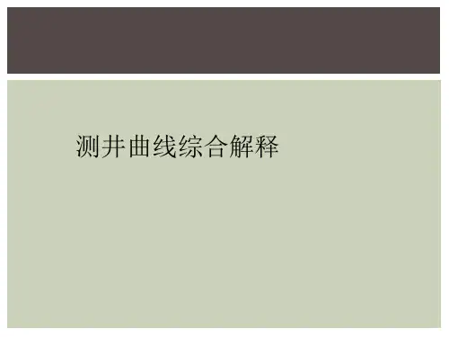 测井曲线综合解释