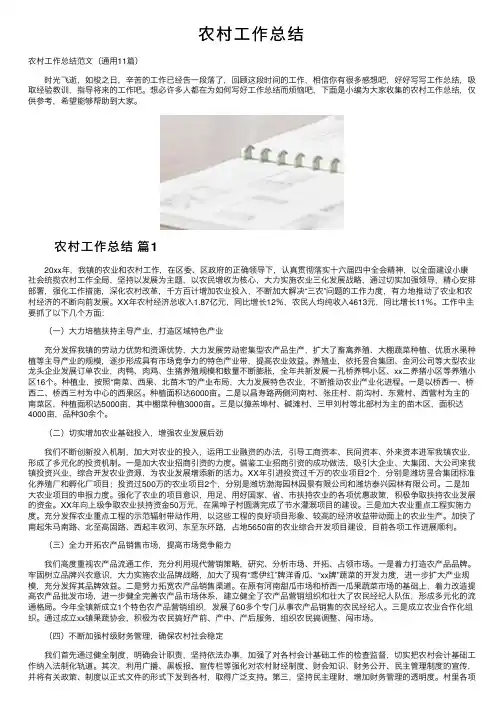 农村工作总结