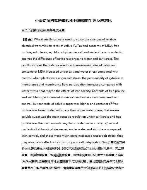 小麦幼苗对盐胁迫和水分胁迫的生理反应对比