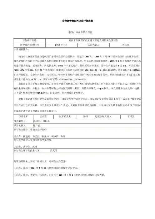 安全评价报告网上公开信息表