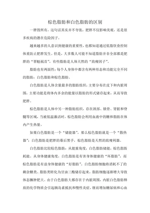 棕色脂肪和白色脂肪的区别