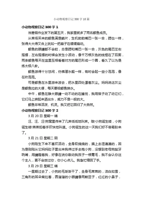小动物观察日记300字10篇