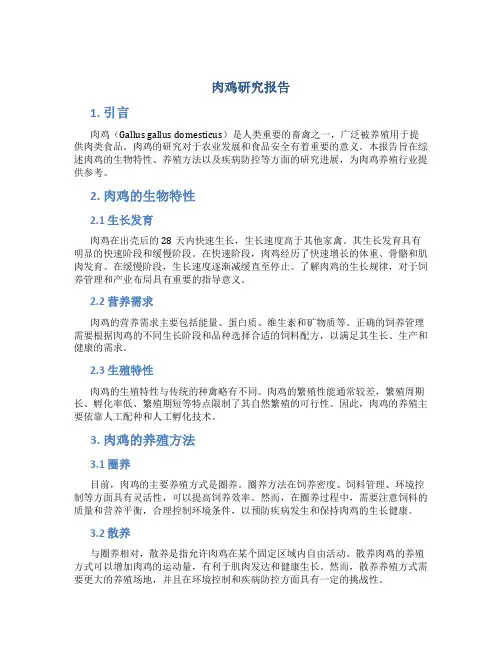 肉鸡研究报告