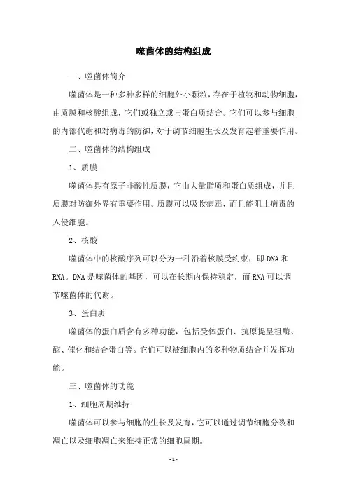 噬菌体的结构组成