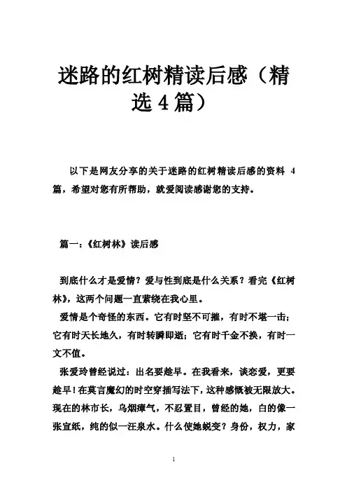 迷路的红树精读后感（精选4篇）