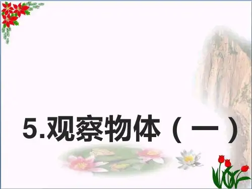 数学5.观察物体(一)｜人教版(共20张PPT)优秀课件