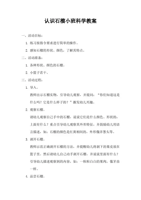 认识石榴小班科学教案