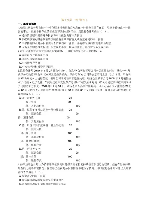 第十九审计报告上