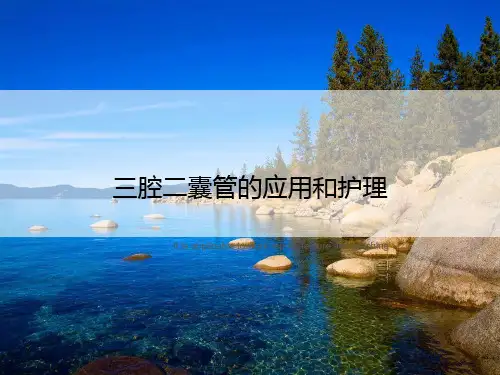 三腔二囊管的应用和护理》ppt课件教案