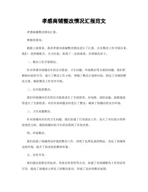 孝感商铺整改情况汇报范文