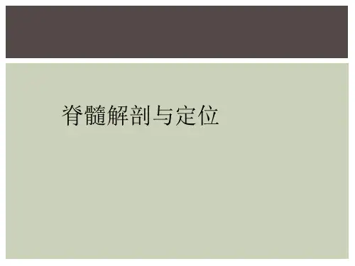 脊髓解剖与定位