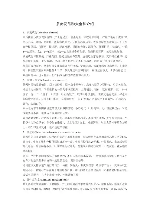 多肉花品种大全和介绍
