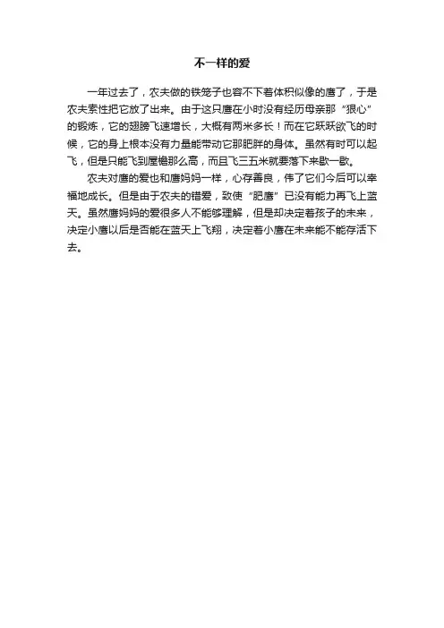 不一样的爱