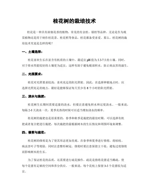 桂花树的栽培技术