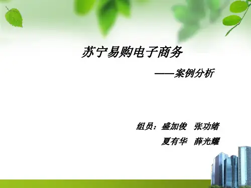 苏宁易购电子商务案例分析
