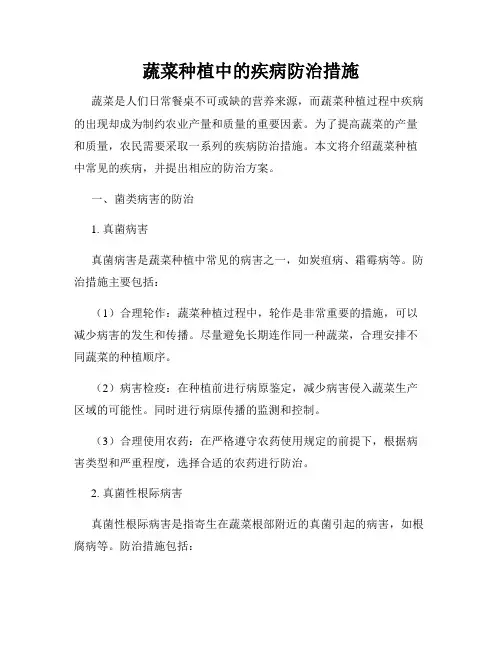 蔬菜种植中的疾病防治措施