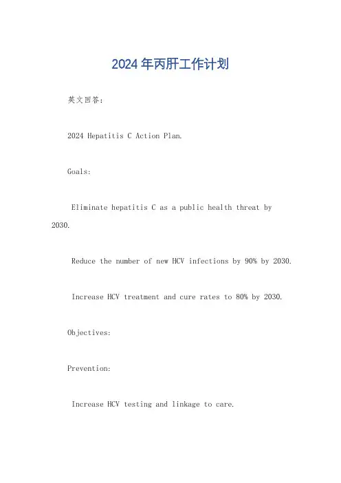 2024年丙肝工作计划