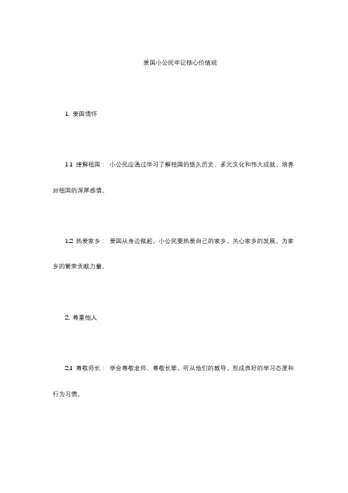 爱国小公民牢记价值观