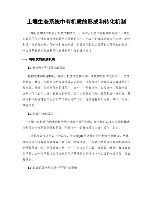 土壤生态系统中有机质的形成和转化机制