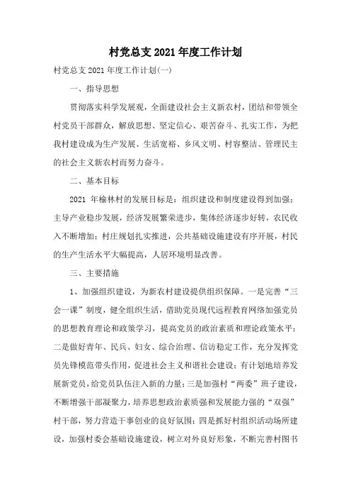 村党总支2021年度工作计划