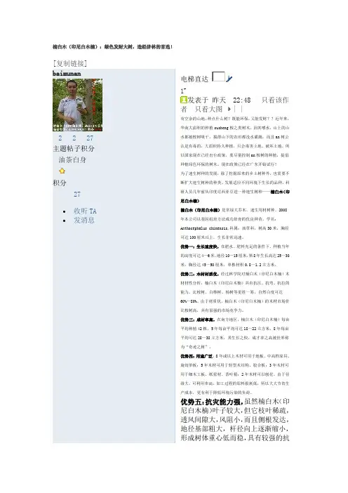 楠白木