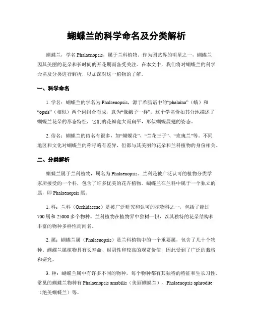 蝴蝶兰的科学命名及分类解析