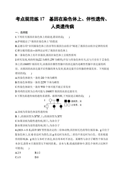 新教材高考生物一轮复习考点规范练17基因在染色体上、伴性遗传、人类遗传病含答案