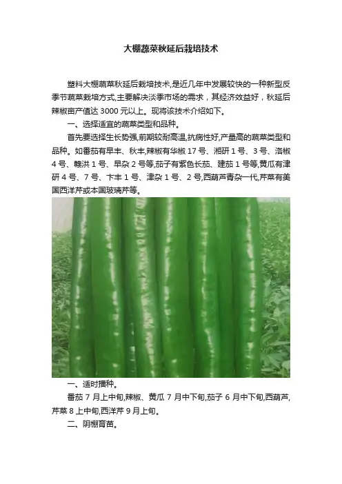 大棚蔬菜秋延后栽培技术