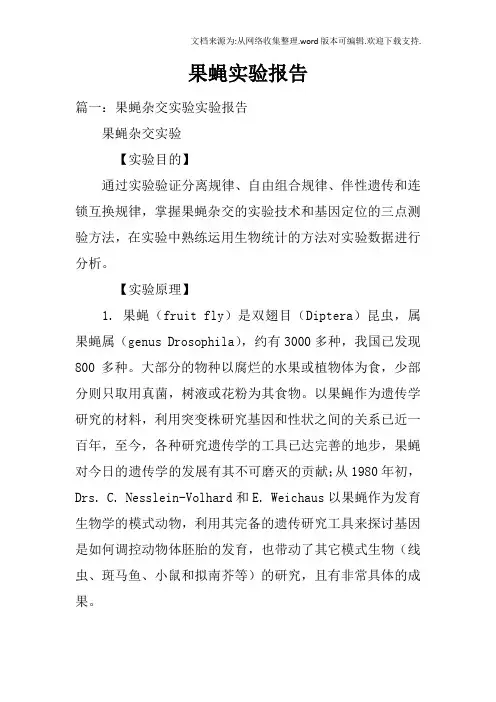 果蝇实验报告