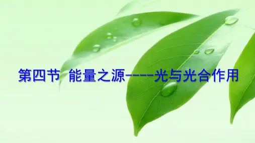 人教版高中生物必修一课件：5.4能量之源“光与光合作用”