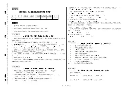 湖北省2020年小升初数学综合练习试题 附解析