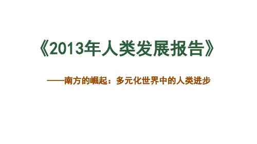 2013年人类发展报告