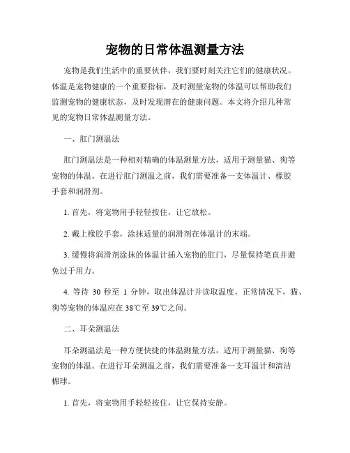 宠物的日常体温测量方法