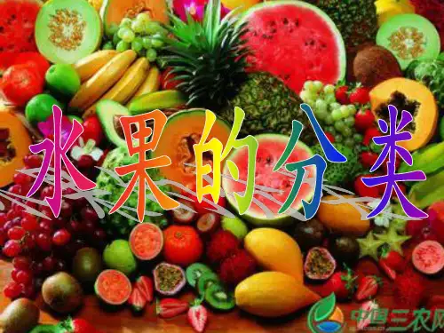 《水果分类》(课堂PPT)