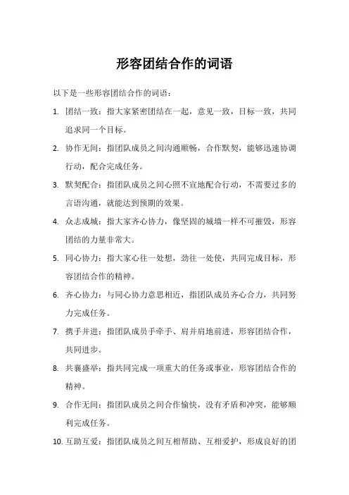 形容团结合作的词语