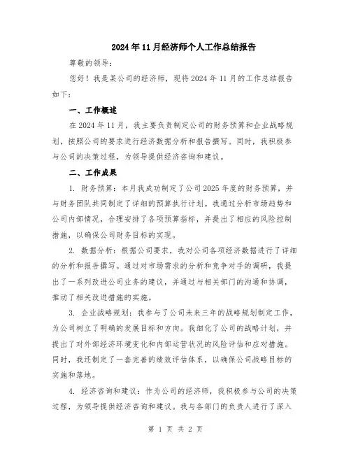 2024年11月经济师个人工作总结报告