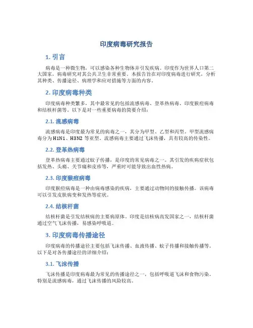 印度病毒研究报告