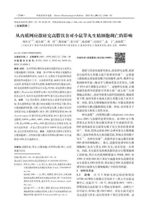 从内质网应激研究高脂饮食对小鼠睾丸生精细胞凋亡的影响