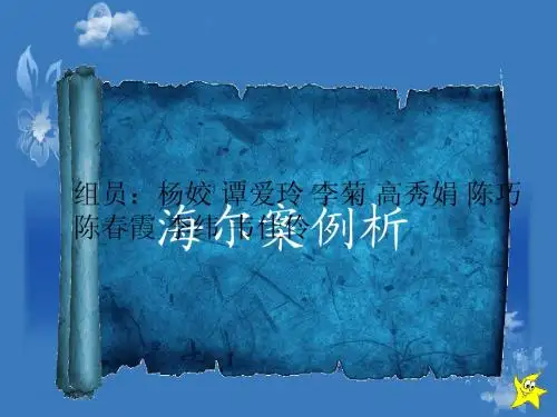 案例分析海尔